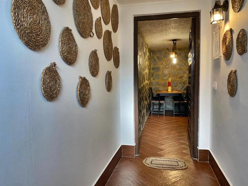 Apartamento Rural Bella Vista Villaluenga Del Rosario Extérieur photo